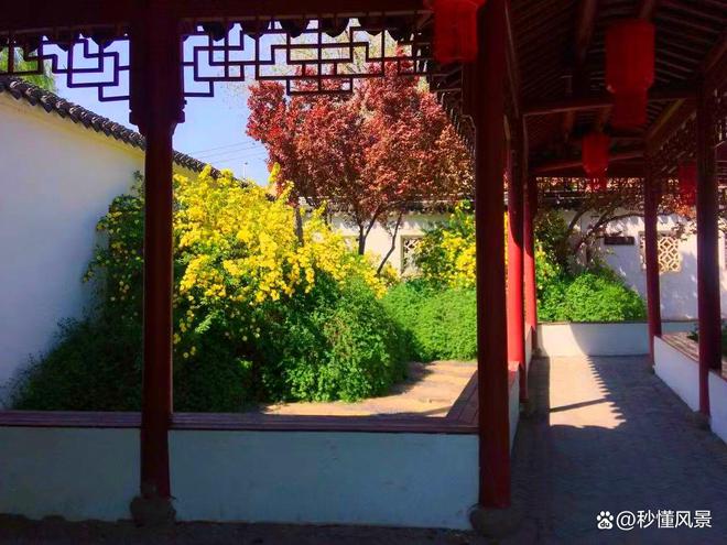 天津少有人gogo体育知的“江南园林”好似一幅立体的画让人流连忘返！(图6)