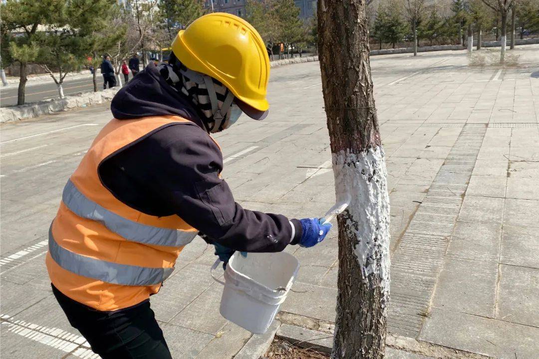 gogo体育不负春季好时光 园林绿化养护忙(图3)