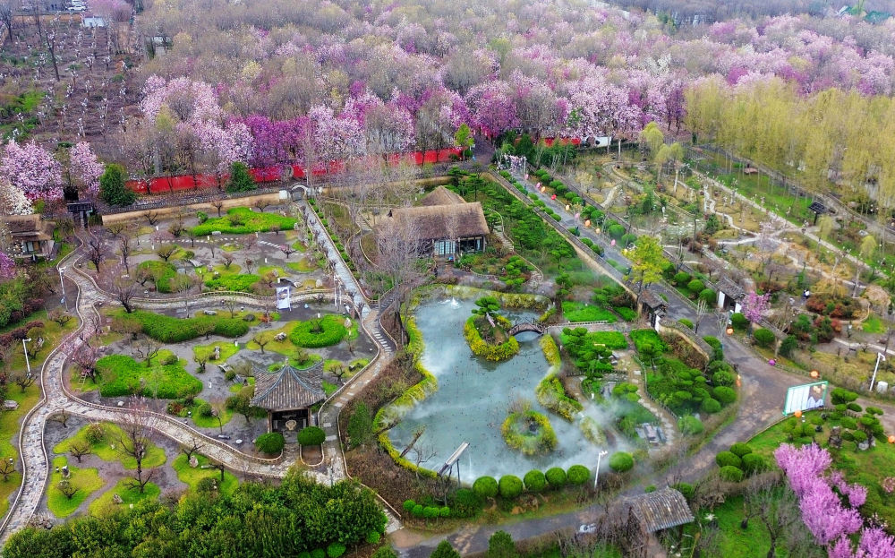 老外看扬州：国际友人深度体验扬州古典园林魅力gogo体育